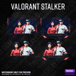 Valorant Webcam Overlay Stalker Edition every part on one picture