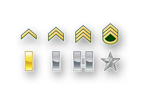 Twitch sub badges example