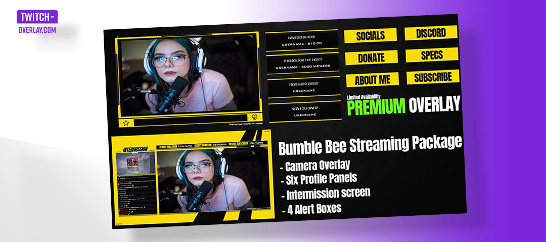 Bumble Bee Free Pack by FreeTwitchOverlays