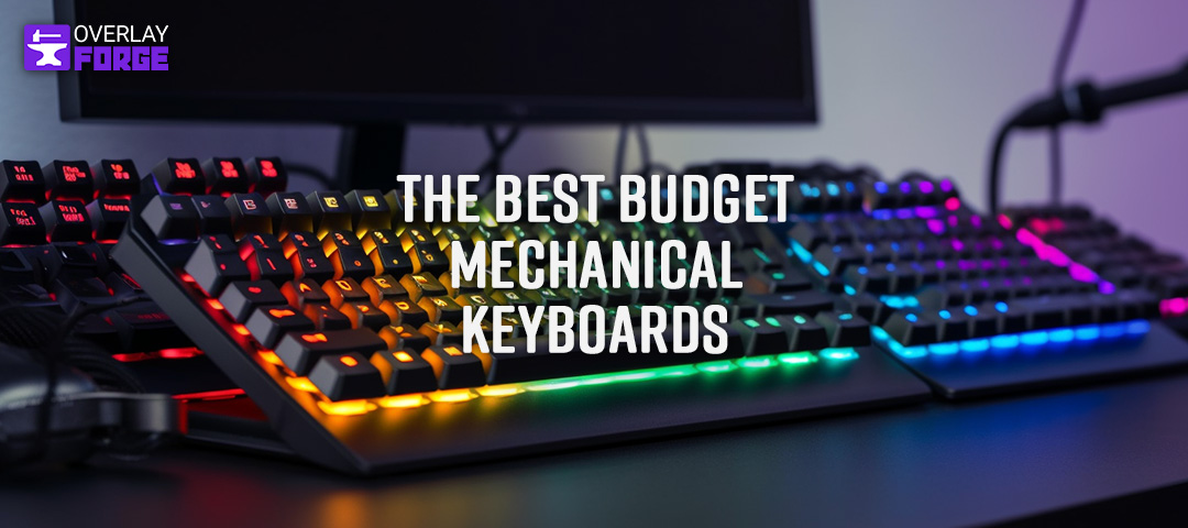 List of the Best Budget Mechanical Keyboards for gaming, streaming and writing.