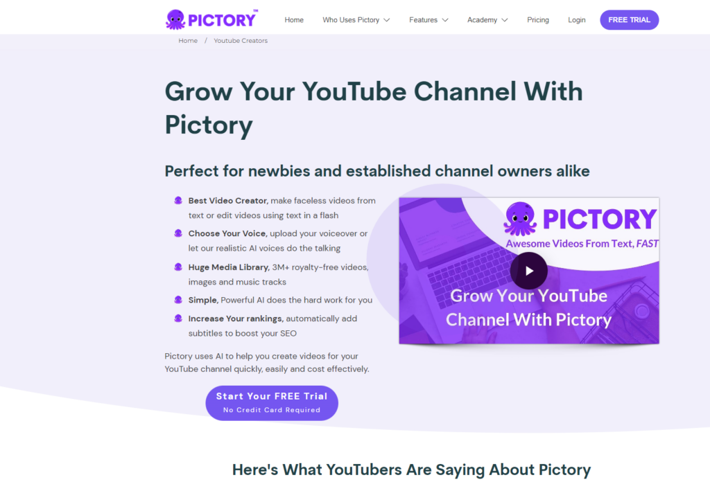 Informations about Pictory service.